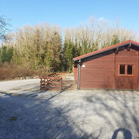 Red Squirrel Lodge Galway Buitenkant foto