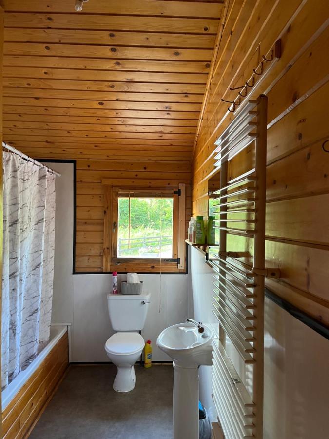 Red Squirrel Lodge Galway Buitenkant foto