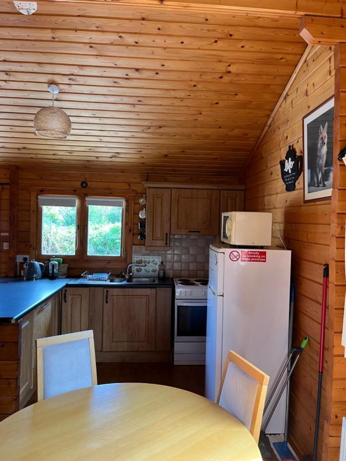 Red Squirrel Lodge Galway Buitenkant foto