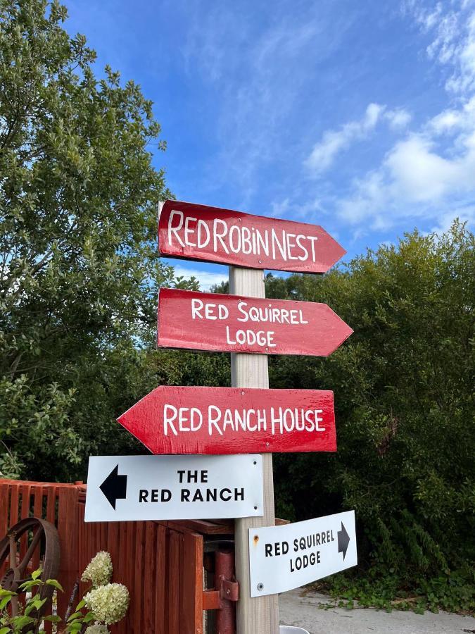 Red Squirrel Lodge Galway Buitenkant foto