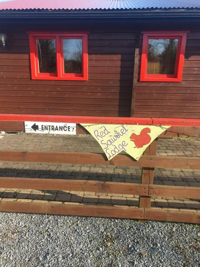Red Squirrel Lodge Galway Buitenkant foto