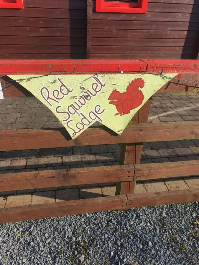 Red Squirrel Lodge Galway Buitenkant foto