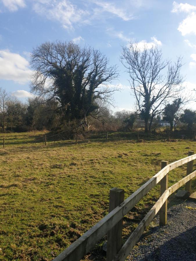 Red Squirrel Lodge Galway Buitenkant foto