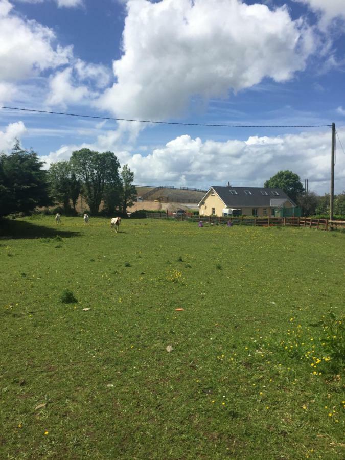 Red Squirrel Lodge Galway Buitenkant foto