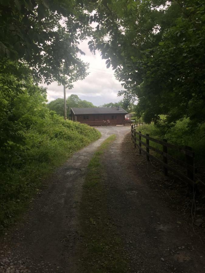 Red Squirrel Lodge Galway Buitenkant foto